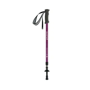 Alpine Pole Anti Shock S