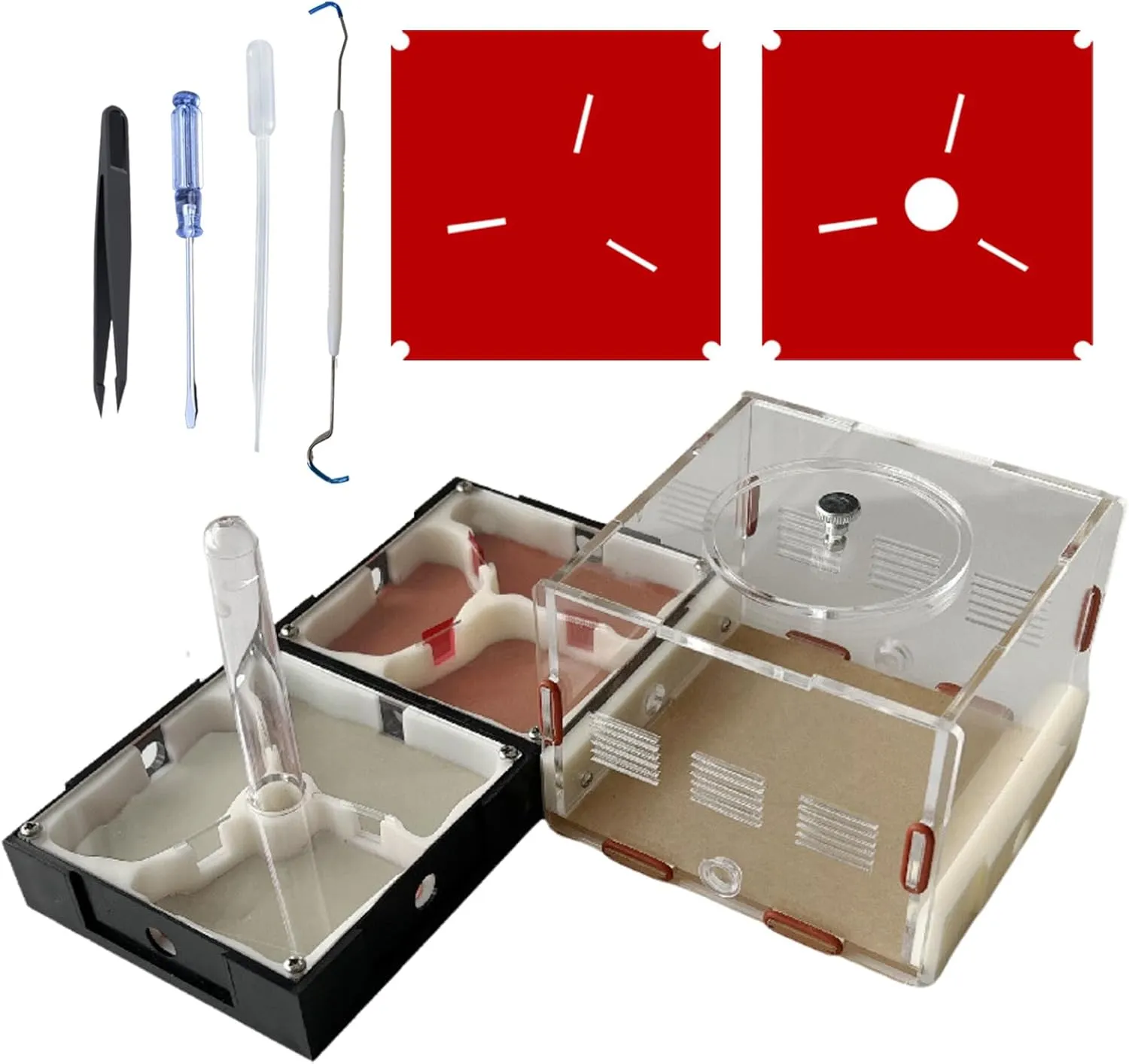 Ant Farm Nest STEM Science Learning Kit DIY Terrarium Kit Care for Live Ants Ant Habitat with Water Tower Nurturing Room and Comprehensive Observation-Set 3