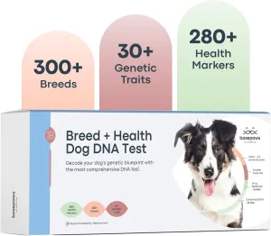 Basepaws Dog DNA Testing Kit - 300  Breeds, 280  Health Risks, and 30  Traits - Comprehensive Mixed Breed Identification, Pet DNA Test kit, Canine Genetic Ancestry and Heritage