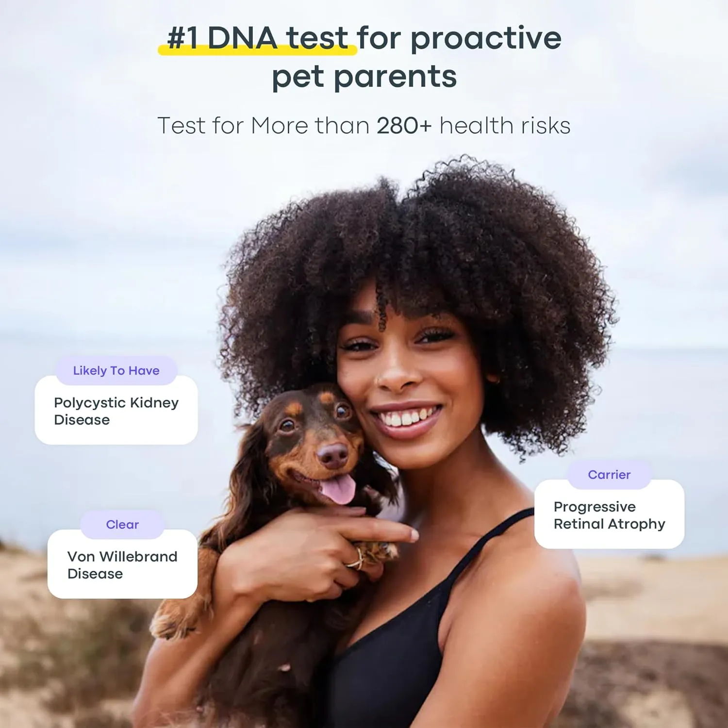 Basepaws Dog DNA Testing Kit - 300  Breeds, 280  Health Risks, and 30  Traits - Comprehensive Mixed Breed Identification, Pet DNA Test kit, Canine Genetic Ancestry and Heritage