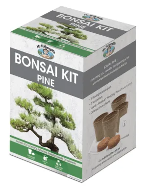 Bonsai Starter Kit - Pine