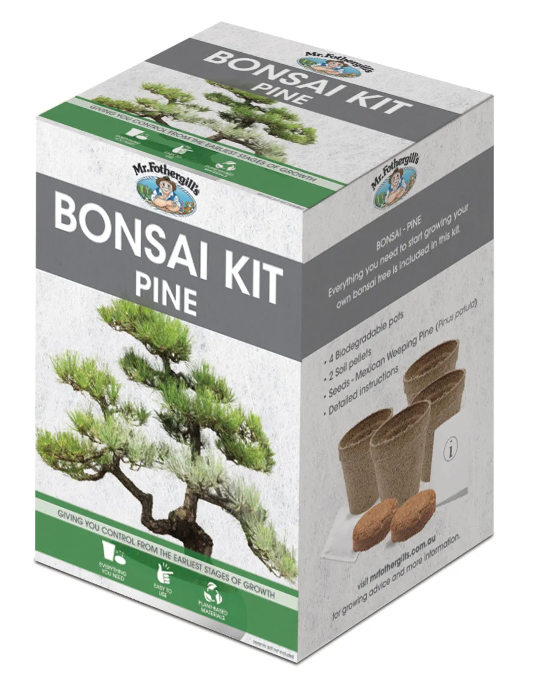 Bonsai Starter Kit - Pine