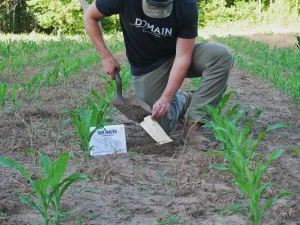Comprehensive Food Plot Soil Test Kit