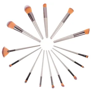 Comprehensive Makeup Brush Set 14pcs Plastic Handle Brushes Case Perfect for