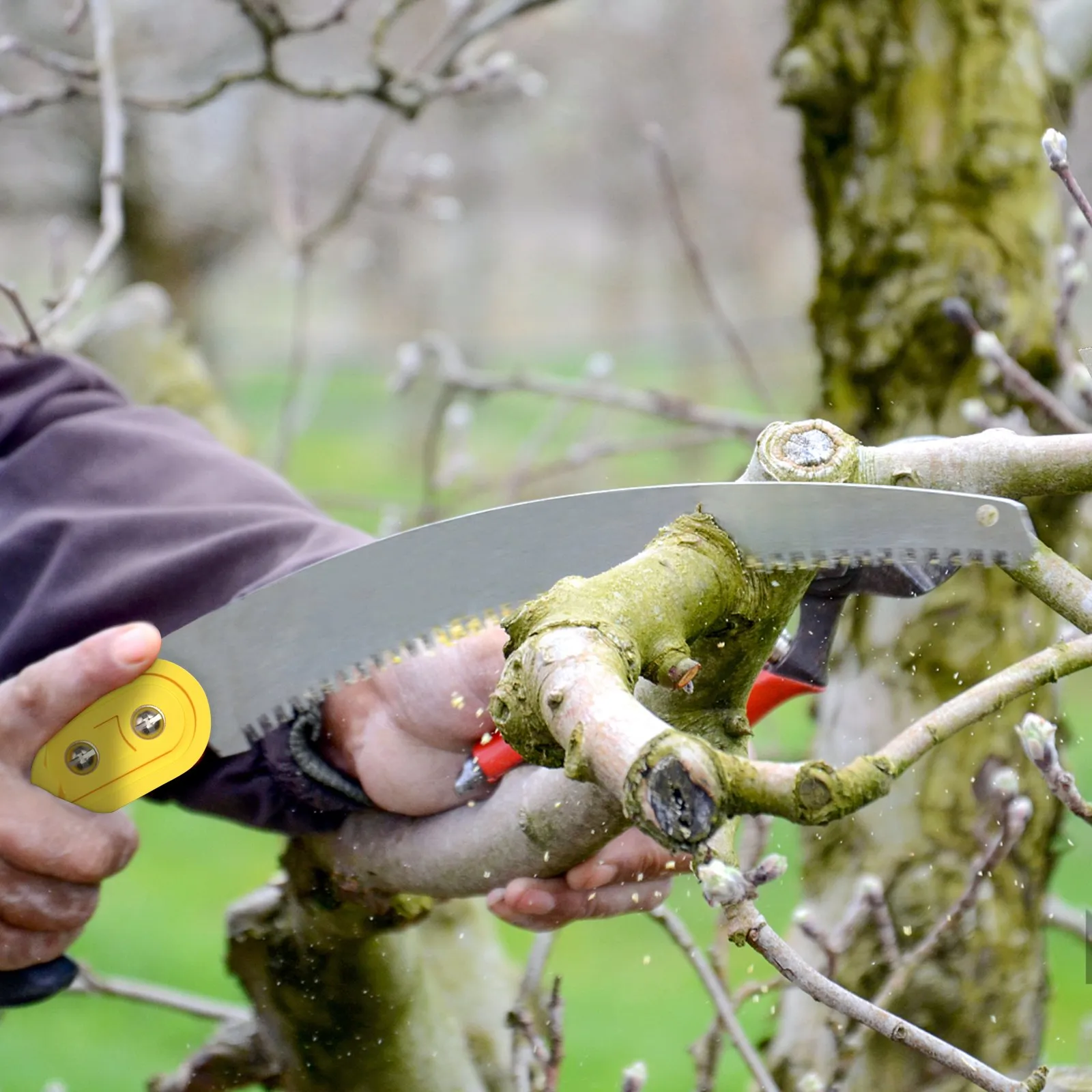 (FINAL PRICES ARE LOWER ON OUR SITE!) VEVOR Tree Pruner Pole Saw 10 ft Extendable Aluminum Pole Sharp Steel Blade