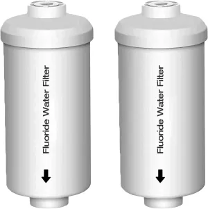 H&G Lifestyles Fluoride Water Filter,Gravity Water Filtration System Replacement for Berkey® PF-2®, Fluoride Arsenic Reduction, Compatible with Berkey®, Remove Odor Improve Water Taste 2 Packs