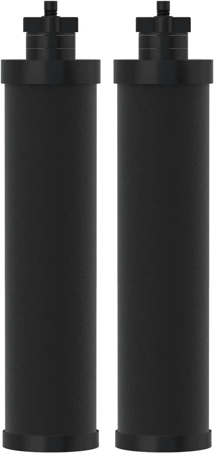 ICEPURE Water Filter Replacement for Berkey® BB9-2 Black Purification Elements, Berkey® Gravity-fed Water Filter System, 2PACK
