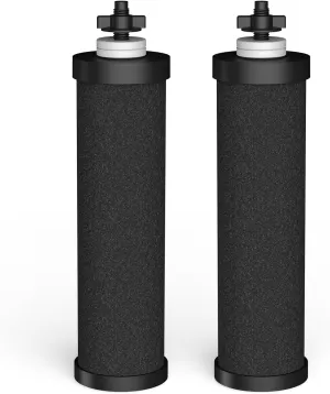 Lifefilter Replacement for BB9-2 Black Purification Water Filter, Compatible with Berkey® BB9-2 Black Filters and Berkey® Gravity Water Filter System, Reduces Lead, Chlorine and More,2 Pack