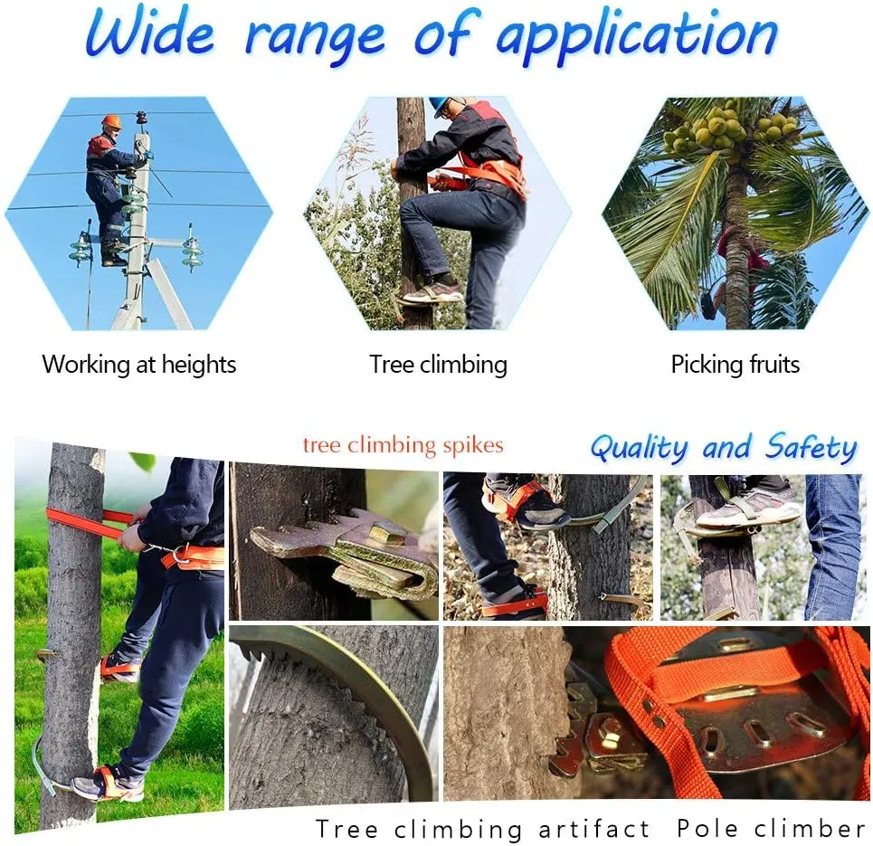 Pole Climbing Spikes, Stainless Steel Tree Climbing Gear, Professional Anti-Skid Tool, Rust-Proof and Wear-Resistant, Tree Climbing Tool for Hunting Observation, Picking Fruit,450model