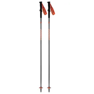 Running Transalper Pro Ski Poles