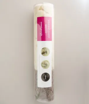 Spinning Sheep Breeds Kit / Down & Down-Like Wool