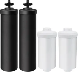 Water Filter Compatible with Berkey BB9-2 Black Filters & PF-2 Fluoride Filters, Compatible with Berkey Gravity Water Filter System, Pack of 4, By DESENRUIS