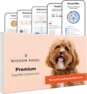 Wisdom Panel Premium Dog DNA Kit: Most Comprehensive with 265  Health Tests, Identify 365  Dog Breeds, 50  Traits, Relatives, Ancestry, Genetic Diversity - Pack of 1